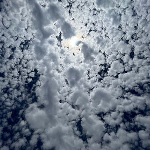 Meet your Posher, Carter